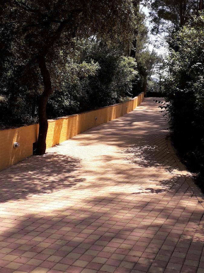 Les Restanques - Chambre D'Hotes Cuges-les-Pins Exteriör bild